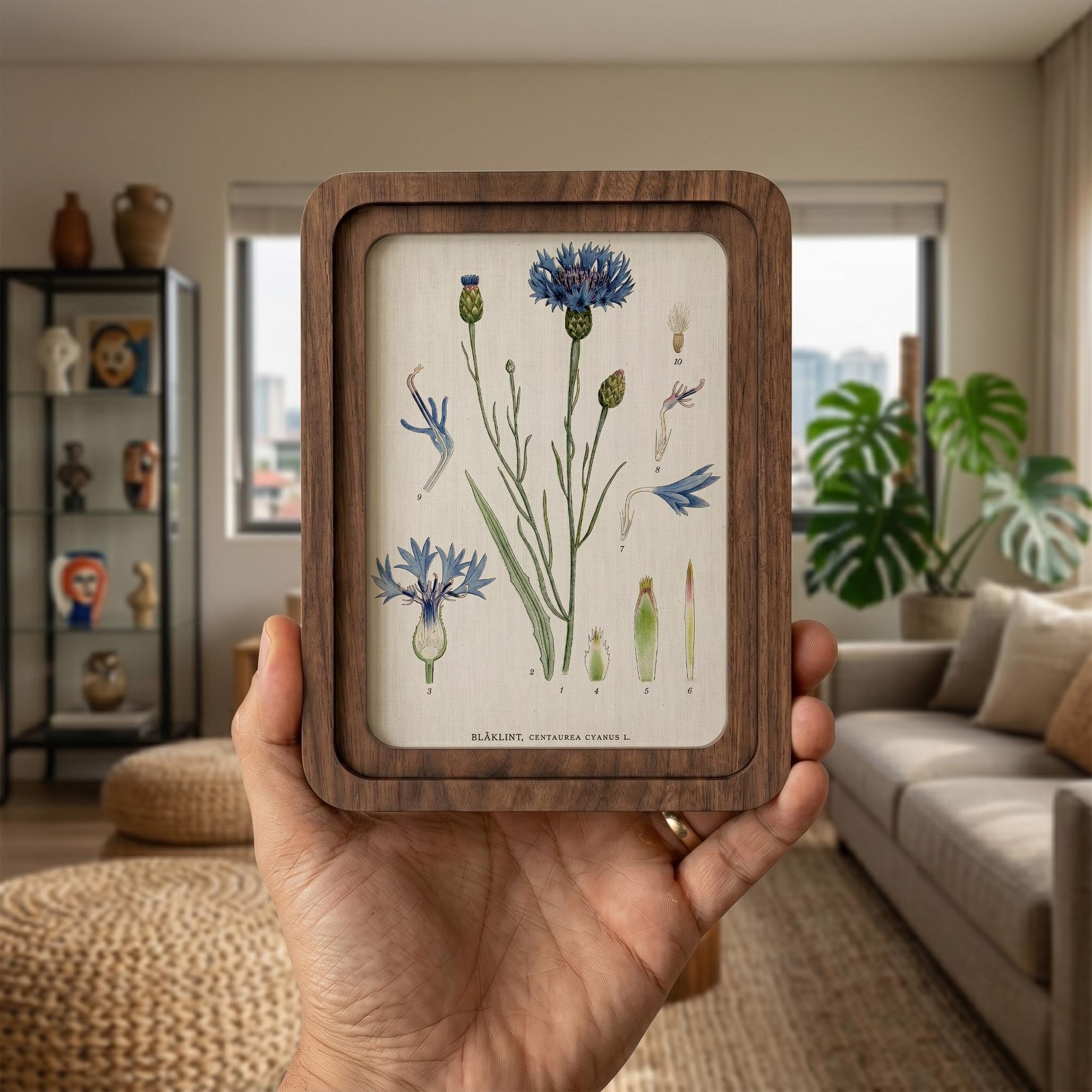 Cornflower Botanical Wall Art, Blue Flower Vintage Print on Canvas, 3D Layered Wood Frame, Wildflower Home Decor, Nature Lover Gift