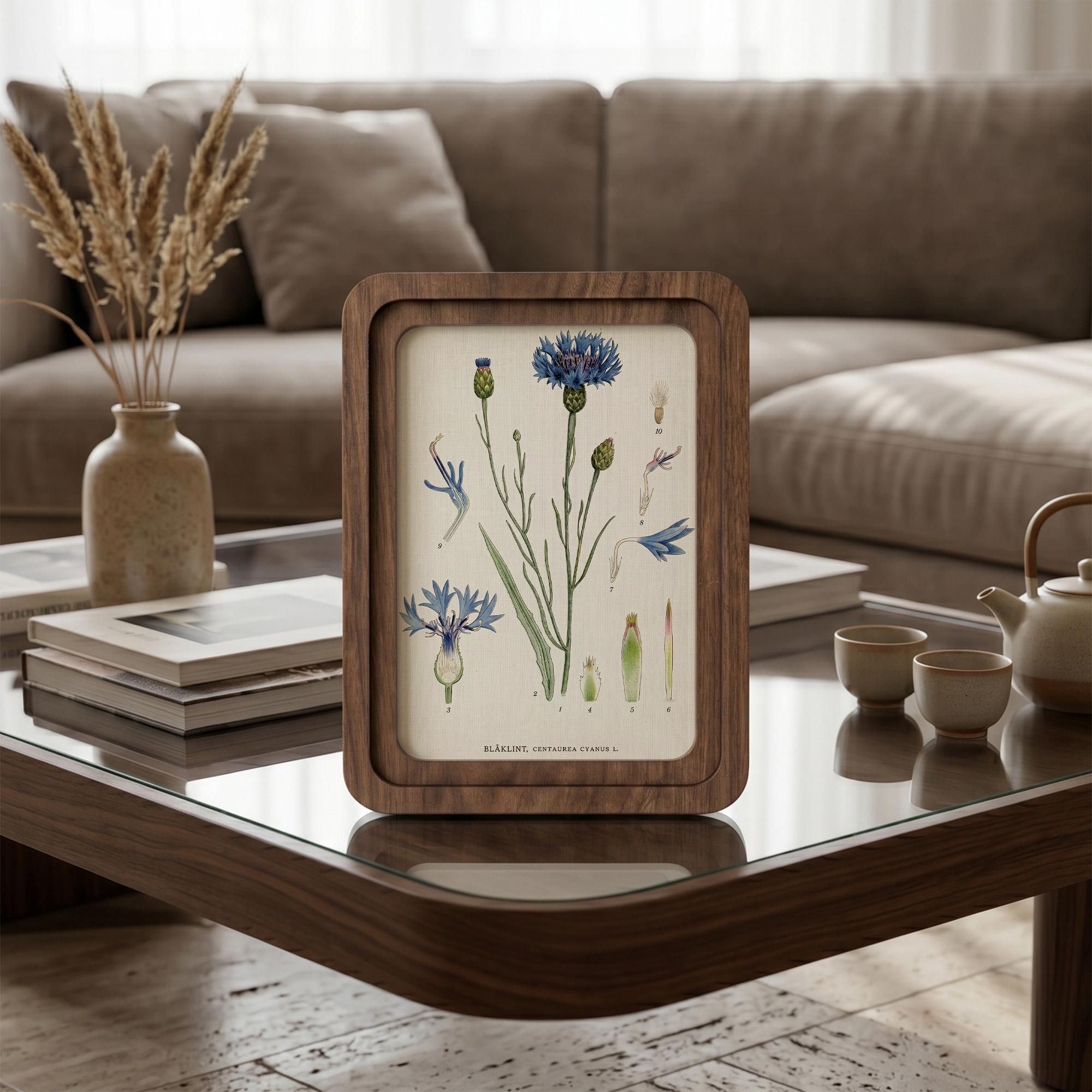 Cornflower Botanical Wall Art, Blue Flower Vintage Print on Canvas, 3D Layered Wood Frame, Wildflower Home Decor, Nature Lover Gift