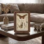 Butterfly Wall Art Vintage Butterfly Print Wood Framed Canvas Entomological Art Butterfly Taxidermy Style Print Dark Academia Room Decor