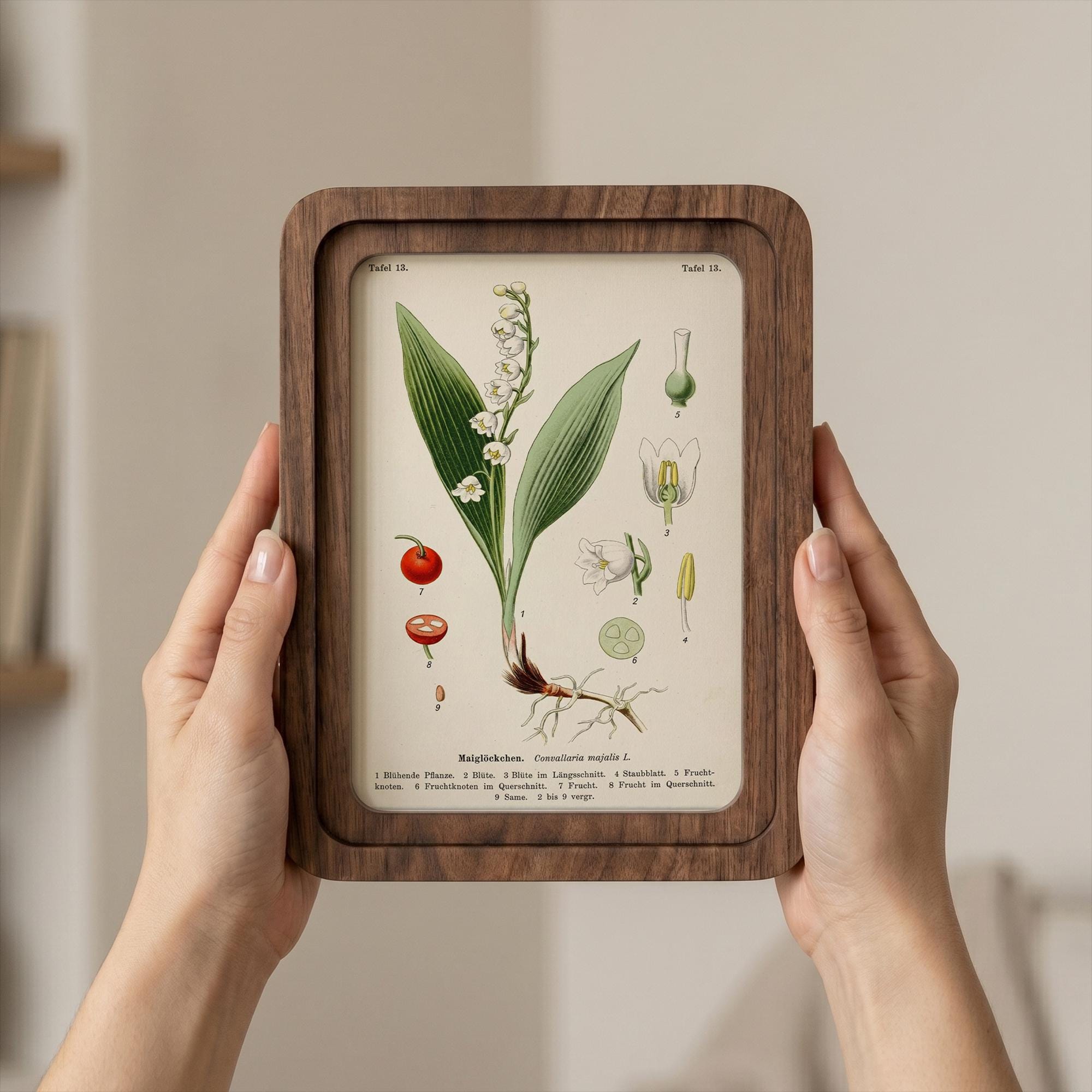 Lily of the Valley Botanical Wall Art Vintage Floral Print Wood Framed Canvas Lily of the Valley Gift May Birth Month Flower Nursery Decor