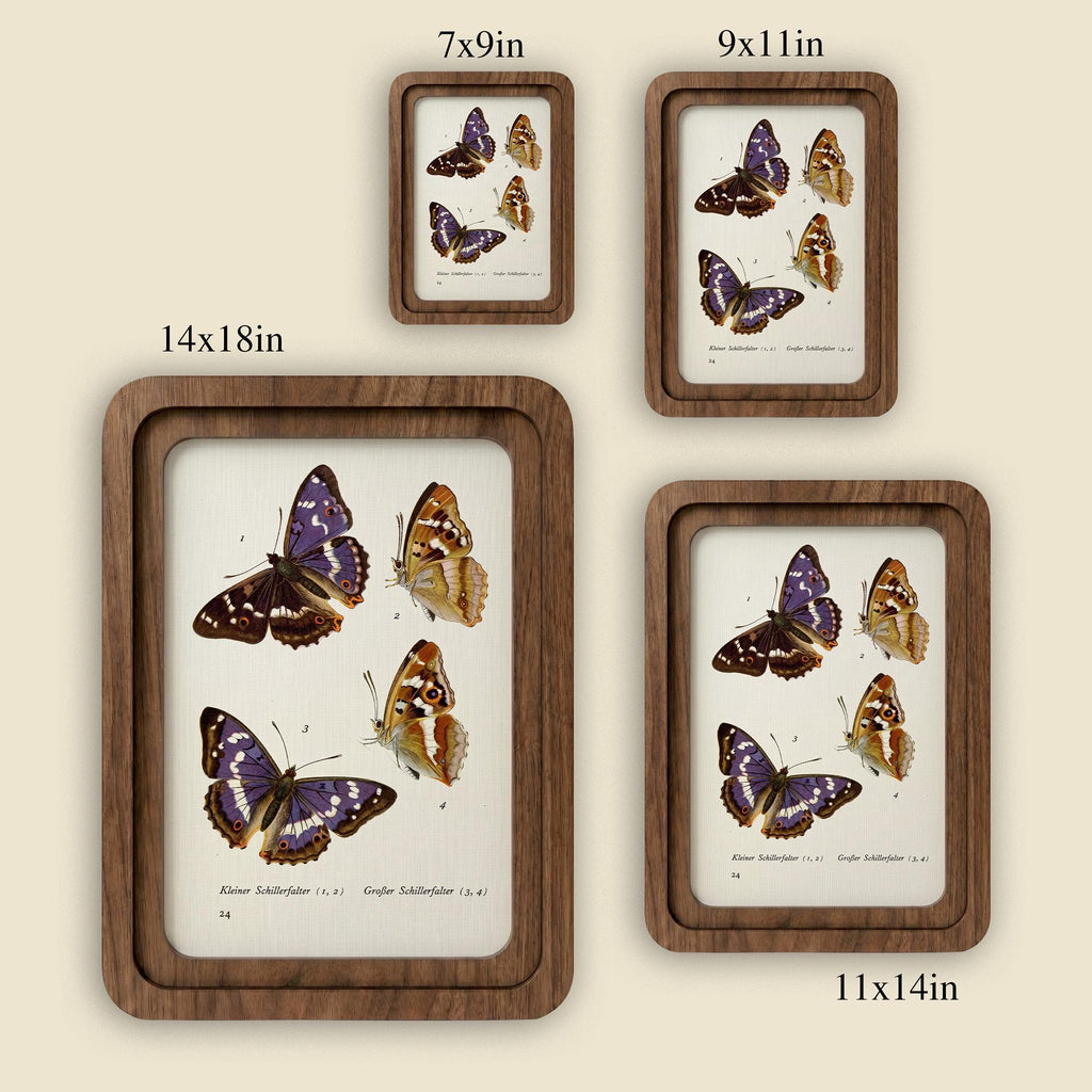 Purple Butterfly Wall Art Vintage Butterfly Print Wood Framed Canvas Butterfly Illustration Dark Academia Decor Aesthetic Nature Lover Gift