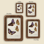 Purple Butterfly Wall Art Vintage Butterfly Print Wood Framed Canvas Butterfly Illustration Dark Academia Decor Aesthetic Nature Lover Gift