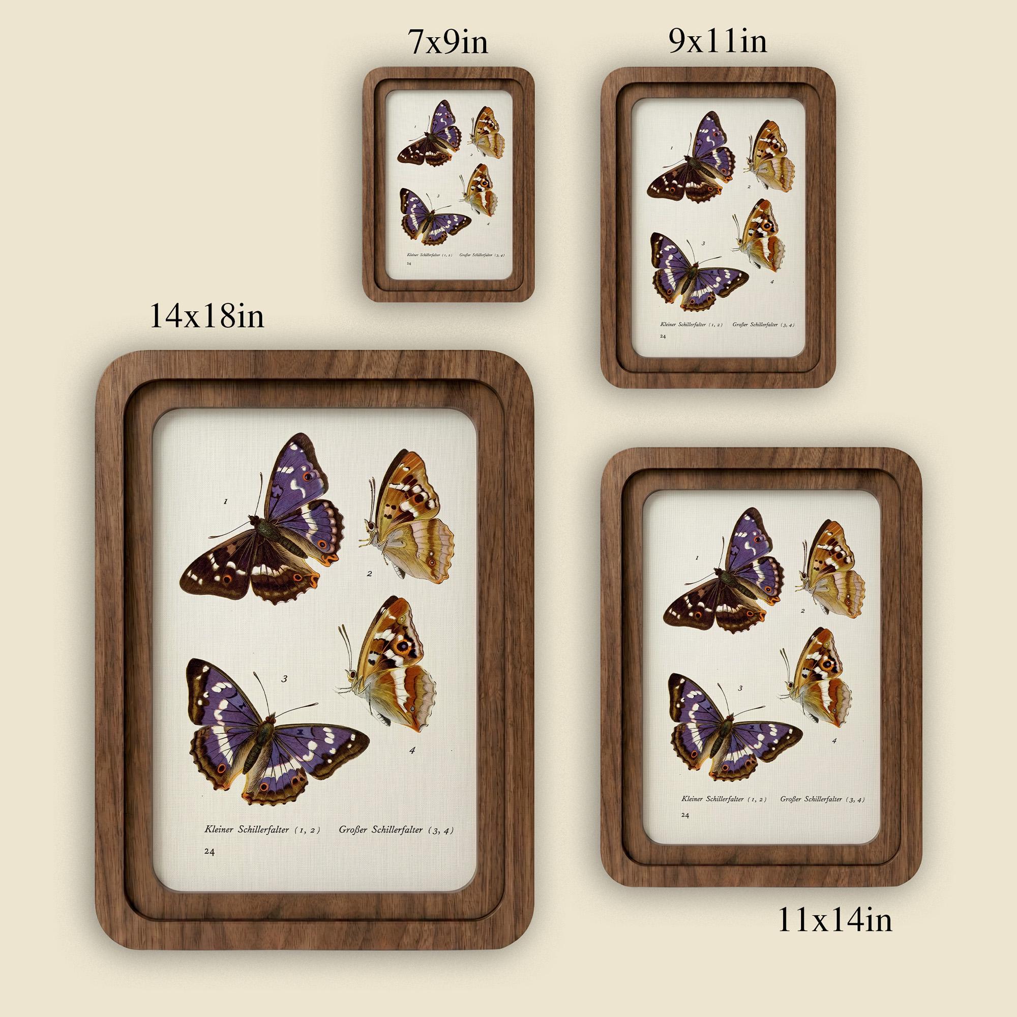 Purple Butterfly Wall Art Vintage Butterfly Print Wood Framed Canvas Butterfly Illustration Dark Academia Decor Aesthetic Nature Lover Gift