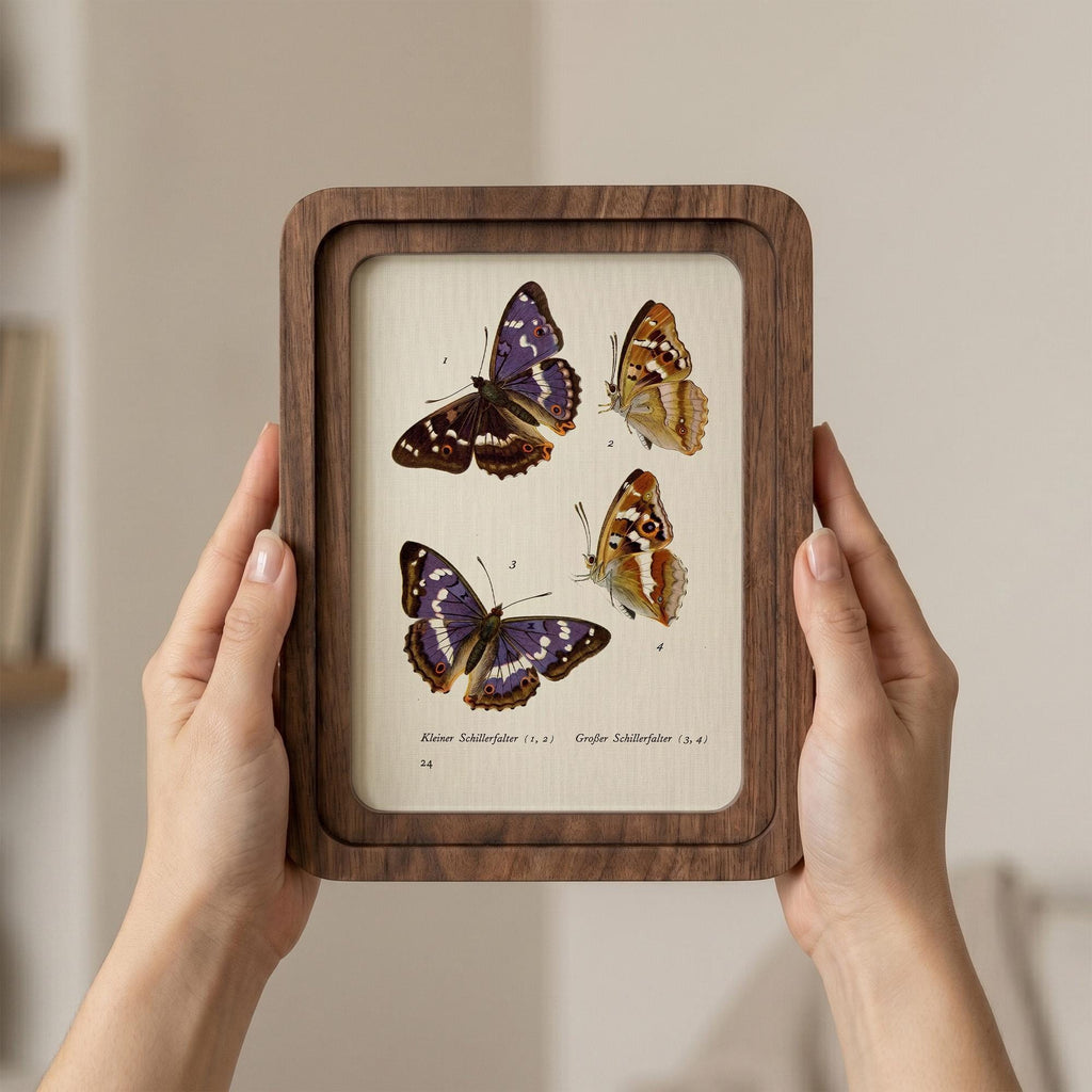 Purple Butterfly Wall Art Vintage Butterfly Print Wood Framed Canvas Butterfly Illustration Dark Academia Decor Aesthetic Nature Lover Gift
