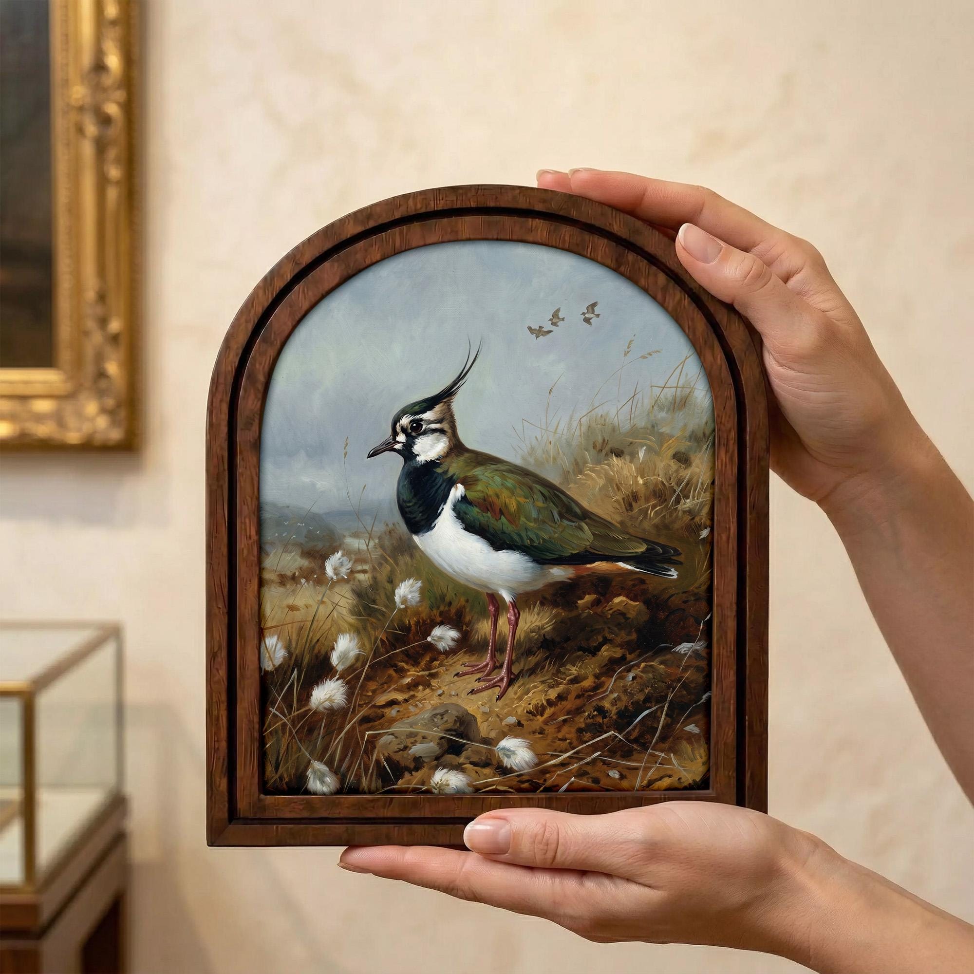 Lapwing Bird Art, Wood Arch Framed Canvas, Vintage Wildlife Painting, Farmhouse Wall Decor, Plover Bird Print, Countryside Home Gift Art