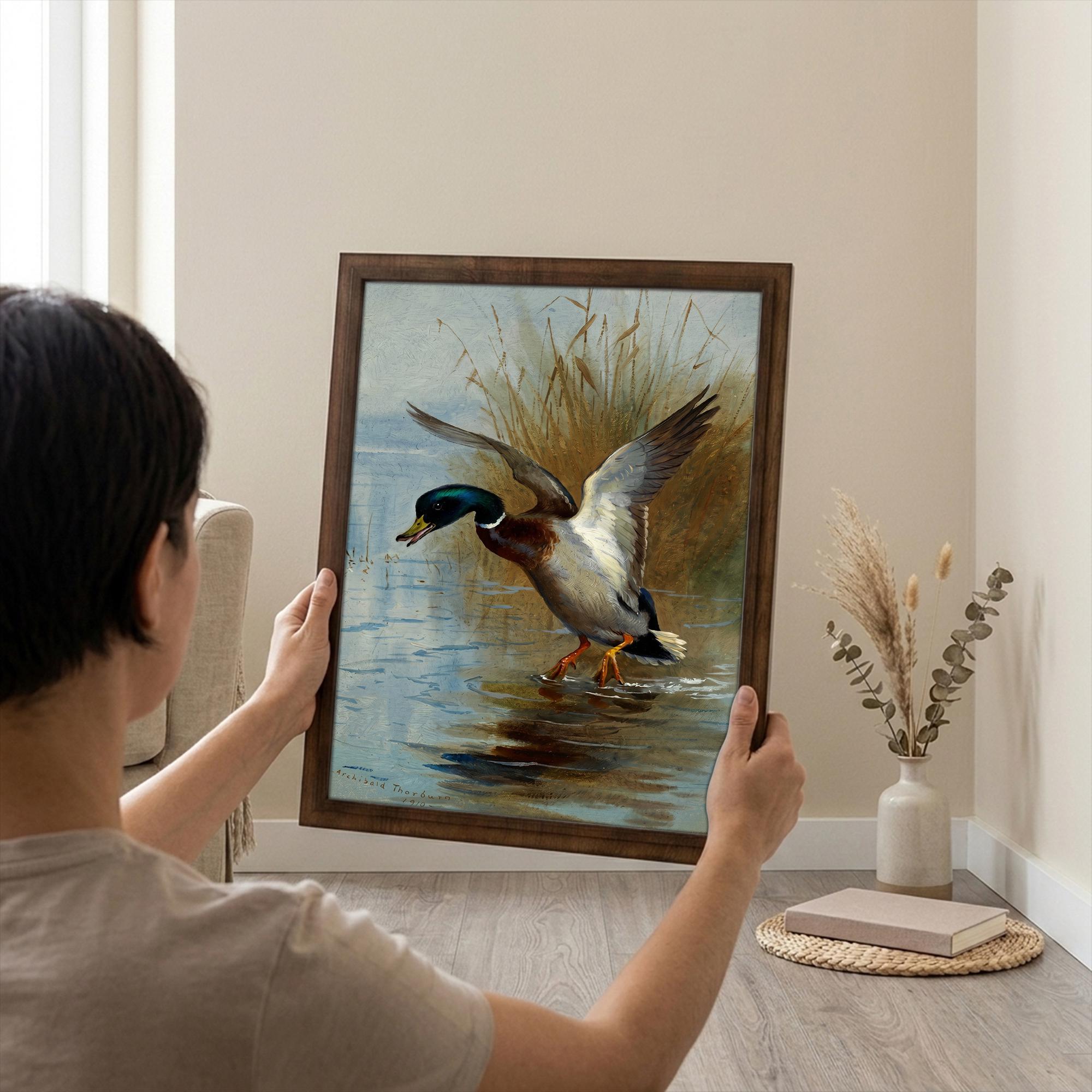 Mallard Duck Print, Hunting Cabin Decor, Rectangle Wood Frame, Wild Duck Art, Wildlife Painting, Framed Canvas Art, Vintage Nature Decor