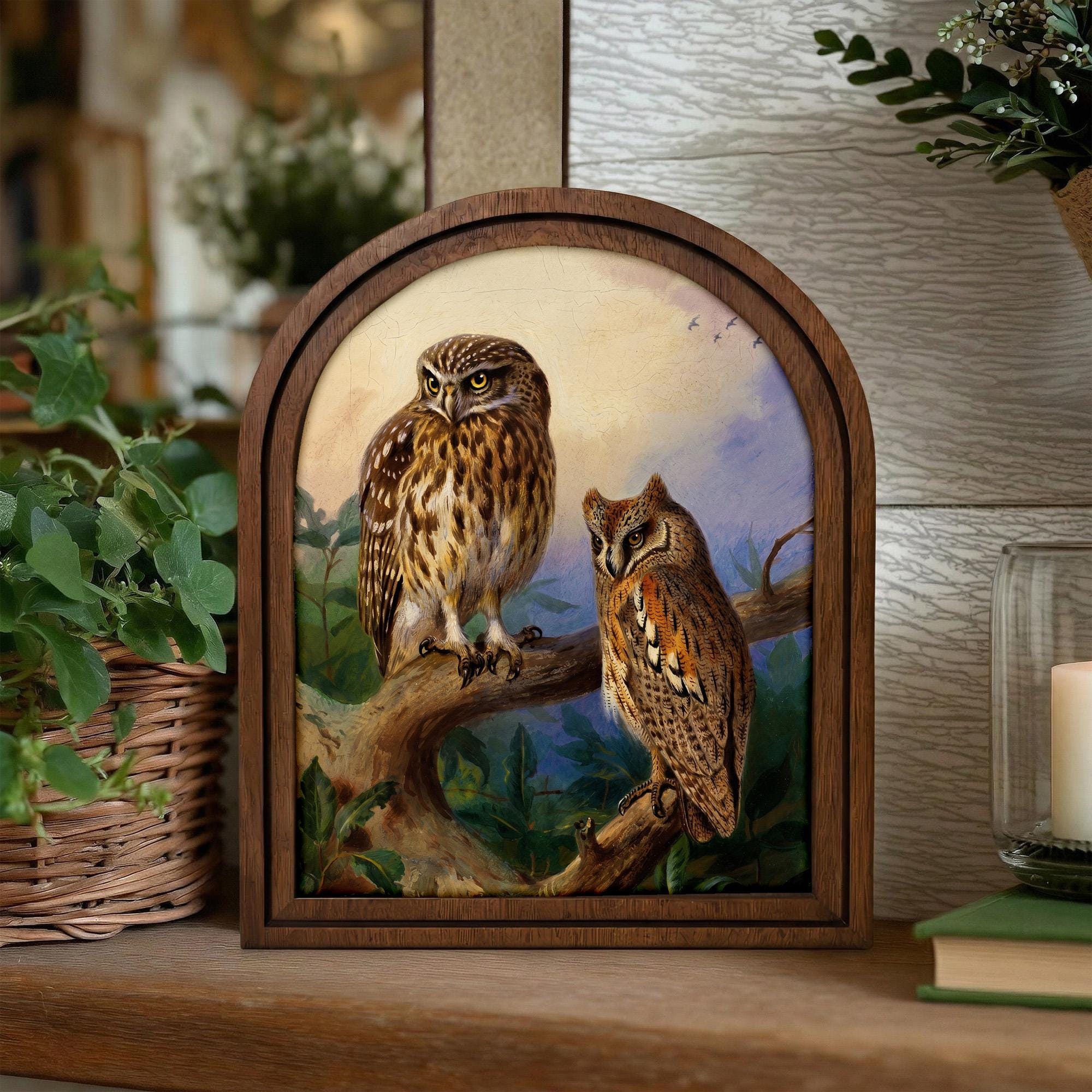 Vintage Owl Art, Arched Wood Frame, Dark Academia Decor, Owl Painting on Branch, Whimsical Gothic Wall Art, Cottagecore Framed Canvas Print