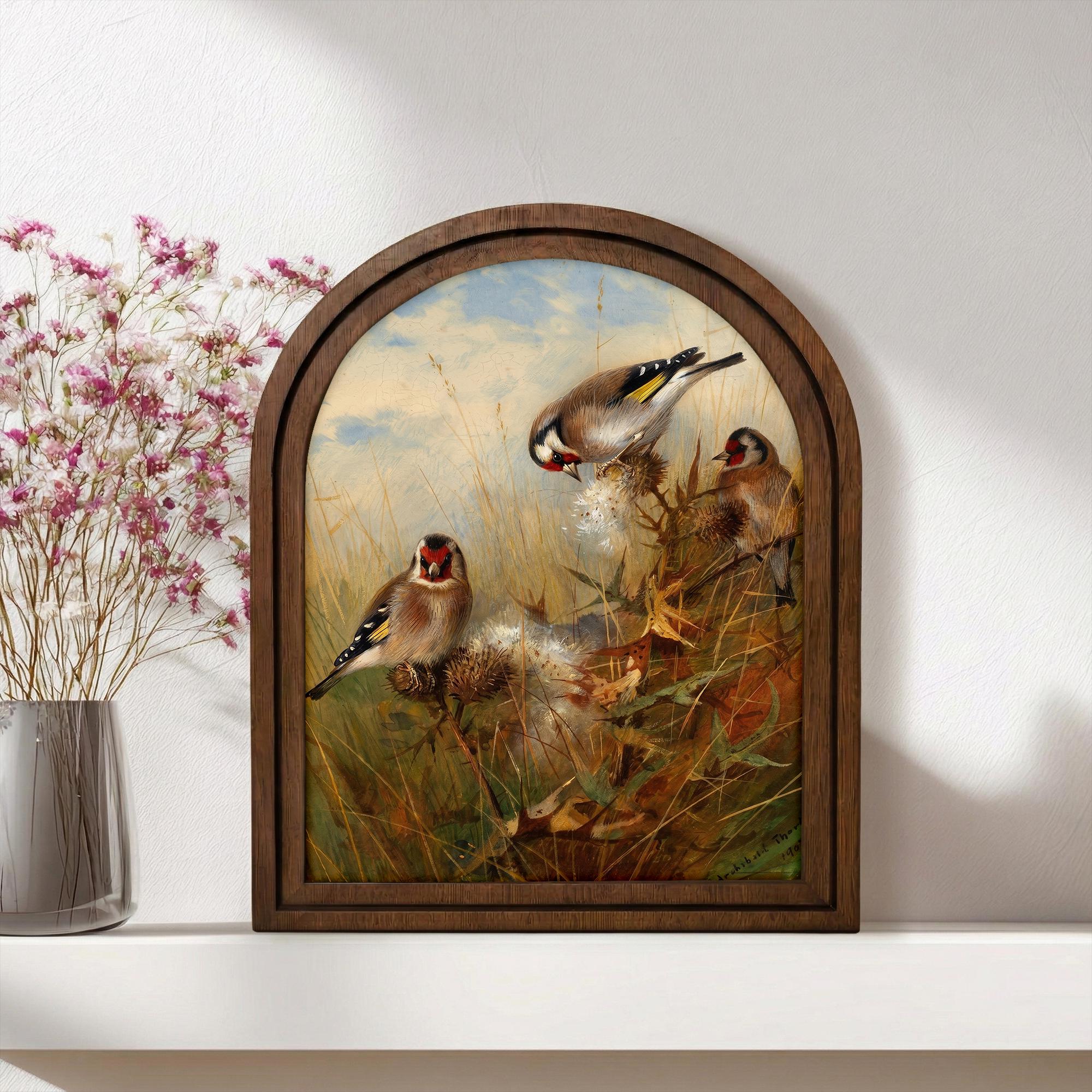 Vintage Bird Art, Arched Wood Frame, Goldfinch Painting, Botanical Nature Decor, Cottagecore Wall Art, Framed Canvas Print, European Art