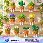 Plant Shelf Sitter STL Bundle with Cactus Succulent and Flow 1